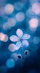 Wall Mural -  A macro shot of a flower, petals dotted with water droplets, against a softly blurred blue backdrop