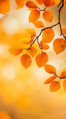 Sticker -  A tree branch with yellow leaves in sharp focus, foreground Yellow sky, background