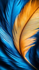 Sticker -  A tight shot of a bird's multicolored feathers - blue, yellow, and orange - with a softly blurred tail behind