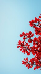 Canvas Print -  Red-leafed tree branches against a blue sky backdrop, with a plane in the distant sky