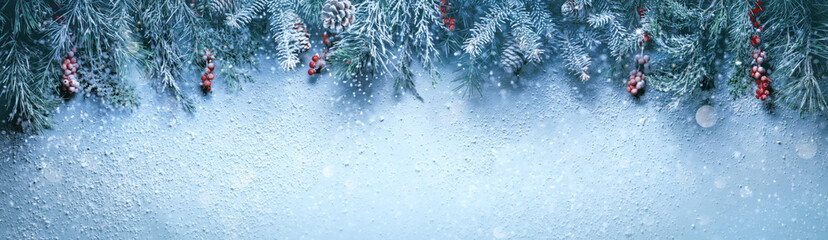Wall Mural - fir tree branches in snow close up. christmas and winter concept.