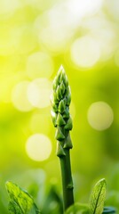 Sticker - leaves up front, backdrop of vivid green bokeh  from light