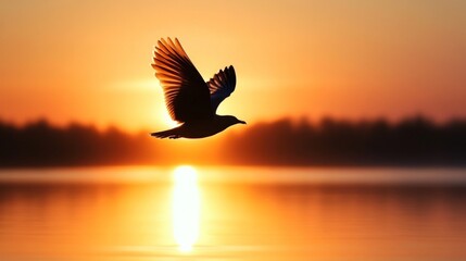 A serene photo of a bird flying close to a sunset or sunrise, with warm, golden hues highlighting the silhouette of the bird and creating a peaceful atmosphere.