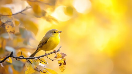 Canvas Print - blurred yellow leaves