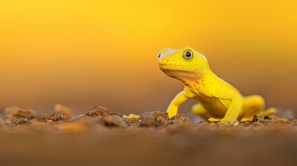 Wall Mural -  A tight shot of a tiny yellow lizard atop dirt, surrounded by a hazy background