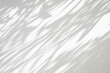 © Kwangmoozaa - Abstract natural tree leaves shadow on white wall background