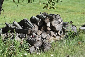 stack of firewood seasoned cord outside grass