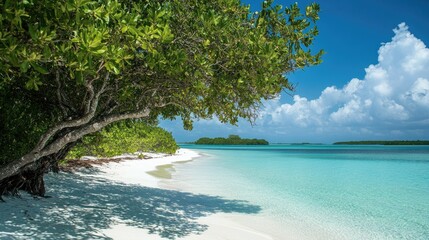 Lagoon bordered by white sandy beaches and vibrant green mangroves.