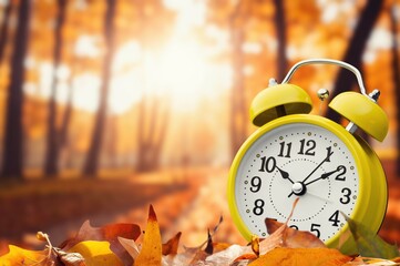 alarm clock on dry autumn leaves natural background