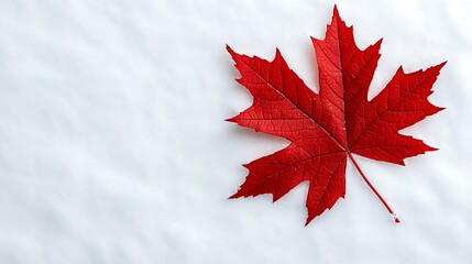 a red maple leaf sits atop a pristine white snow background, capturing the essence of winter's beaut