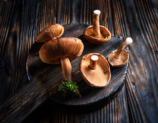 Wall Mural - Fresh boletus mushrooms in basket and dry mushroom on wooden rustic table, overhead shot.