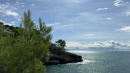 Canvas Print - Scenic rocky coast of Adriatic sea.