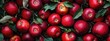 © Valentina - apples on a tree branch. Selective focus
