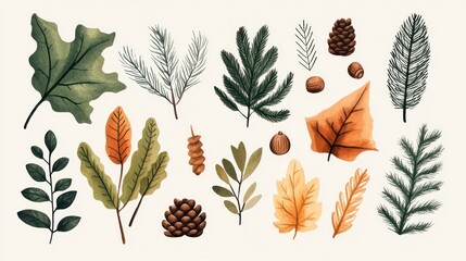 Poster - A collection of leaves and pine cones in various sizes and shapes