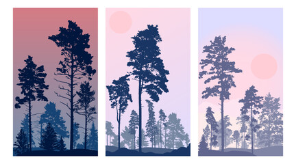 Wall Mural - Coniferous forest, silhouette of pine trees and spruces, vertical beautiful landscape. Set. Vector illustration