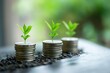 © wirul - A close-up of coins with small green plants growing, symbolizing growth, investment, and sustainability in finance.