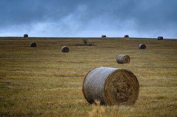 hay bales in the field and dark cloudy sky