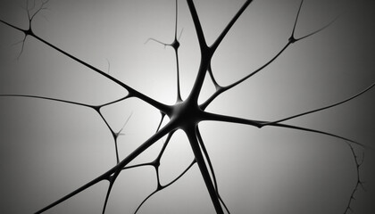 Wall Mural - Monochrome color of neurons