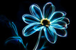 © Daniel - Neon outline of a daisy flower with glowing light trails isolated on black background.