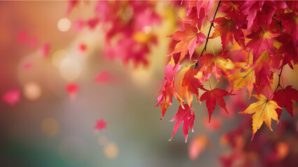 Poster - red autumn leaves autumn background with copy space 