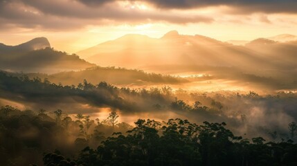 The sun is shining brightly on a mountain range, creating a warm