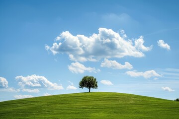 Abstract background. Windows wallpaper landscape with blue sky, white clouds green grass horizon, a lone tree. Background is clean and simple, tranquility and harmony. Nature's beauty and peace