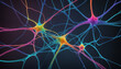 © Boris - Intelligence visualization | Neural Networks in color
