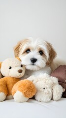 Wall Mural - A Havanese puppy lying down, surrounded by soft toys, with a light solid color background providing a serene atmosphere