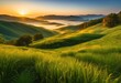 © Yaraslava - vibrant sunrise illuminating expansive green landscape lush vegetation rolling hills, nature, colors, light, morning, sky, horizon, clouds, fields, beauty