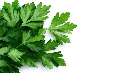 Poster -   Green leaves sit atop white countertop next to white bowl broccoli