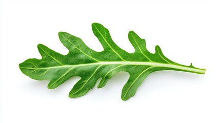 Poster -   A zoomed-in image of a green leaf resting on a white background with a faint reflection shining beneath it