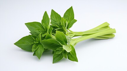 Wall Mural -   A set of green foliage resting atop a white desk beside scissors on the same surface