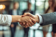 © mattegg - Handshake Deal: Business Partnership Agreement