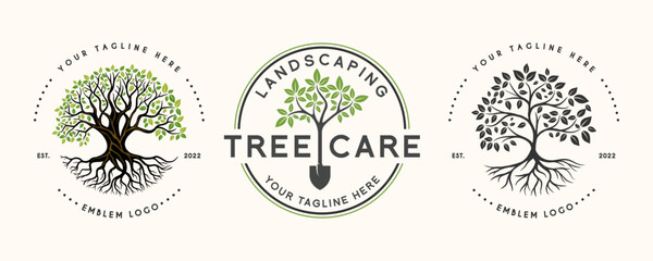 set Oak Tree Leaf Root Family Tree Oak Banyan Maple Stamp Emblem Label vintage style logo design vector