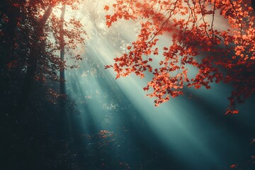 Poster - Sun rays through fog in autumn forest with red leaves. Sunlight, nature, misty woodland, scenic backdrop.