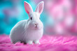 © Hype2Art - Adorable white bunny with pink ears sitting on soft fluffy background looking cute