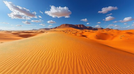 Canvas Print - Arid Landscape of the Sahara Desert