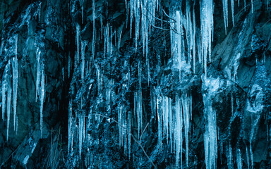 icicles