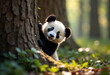 © SophieK - Playful Panda in the Wild: A panda cub peeks curiously from behind a large tree, its wide, expressive eyes full of curiosity, dappled sunlight filtering through the trees.