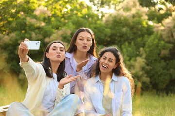 Poster - Young women taking selfie on picnic in park