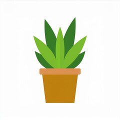 Wall Mural - plant in a pot illustration houseplant isolated