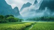 © Світлана Бомбак - Lush green rice fields bordered by misty mountains in the early morning light, creating a serene landscape in nature