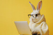© Noufaldi - A rabbit in glasses and a hoodie working on a laptop against a yellow background.