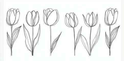 An Art Floral Elements Set of Hand Drawn Plants, Leaves, Flowers. An Art Floral Elements Set that is excellent for T-shirt and Wall Art Prints, Logos, Cosmetics. Minimalist Plant Paintings.