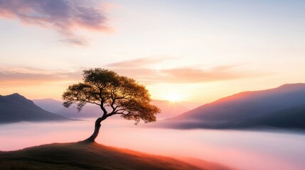 A vibrant sunrise over a rolling landscape with mist rising from the valleys and a lone tree silhouetted in the foreground.