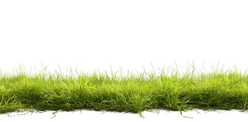 Poster - Vibrant green grass meadow isolated on a white backdrop