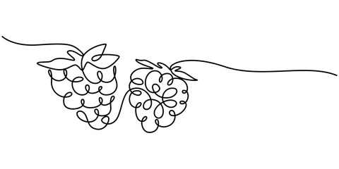 Poster - Raspberry vector color illustration, background, sketch banner for label design. One continuous line drawing of raspberry with lettering. Editable black stroke, Raspberry continuous one line drawing