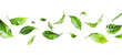 © Safdar - Several green tea leaves floating in the air against a  transparent white background