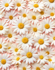 Canvas Print - Subtle daisy petals with blush to pale yellow gradient