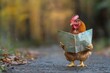 © LOMOSONIC - Clueless Chicken: Funny Animal Adventure in the City with Map Reading Mishaps